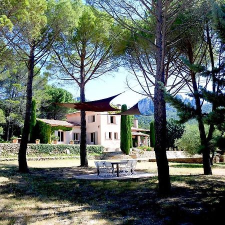 La Bastide De La Provence Verte, Chambres D'Hotes La Roquebrussanne Exterior foto