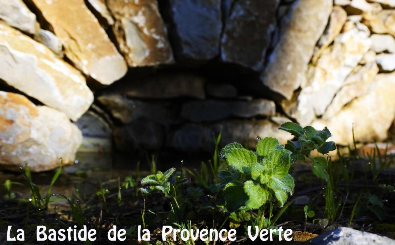 La Bastide De La Provence Verte, Chambres D'Hotes La Roquebrussanne Exterior foto