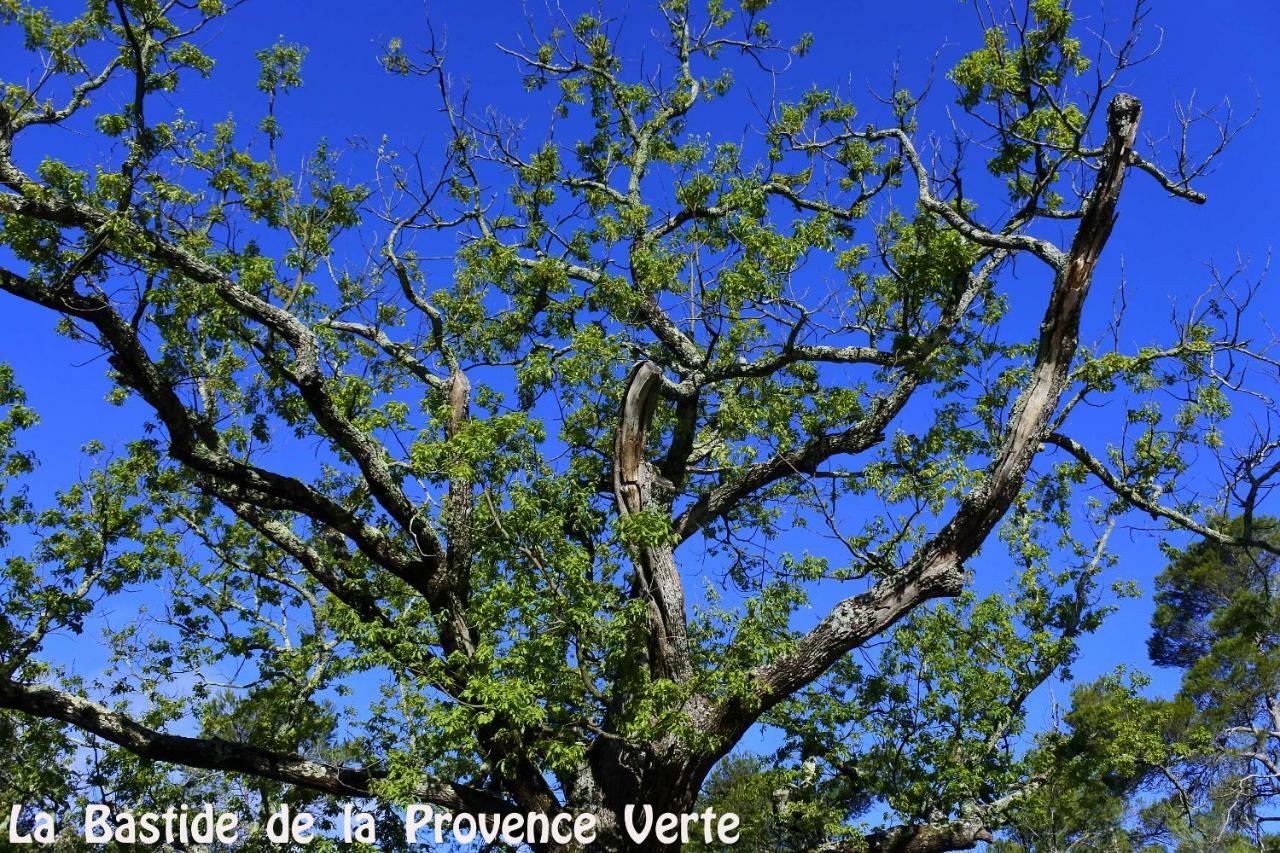 La Bastide De La Provence Verte, Chambres D'Hotes La Roquebrussanne Exterior foto