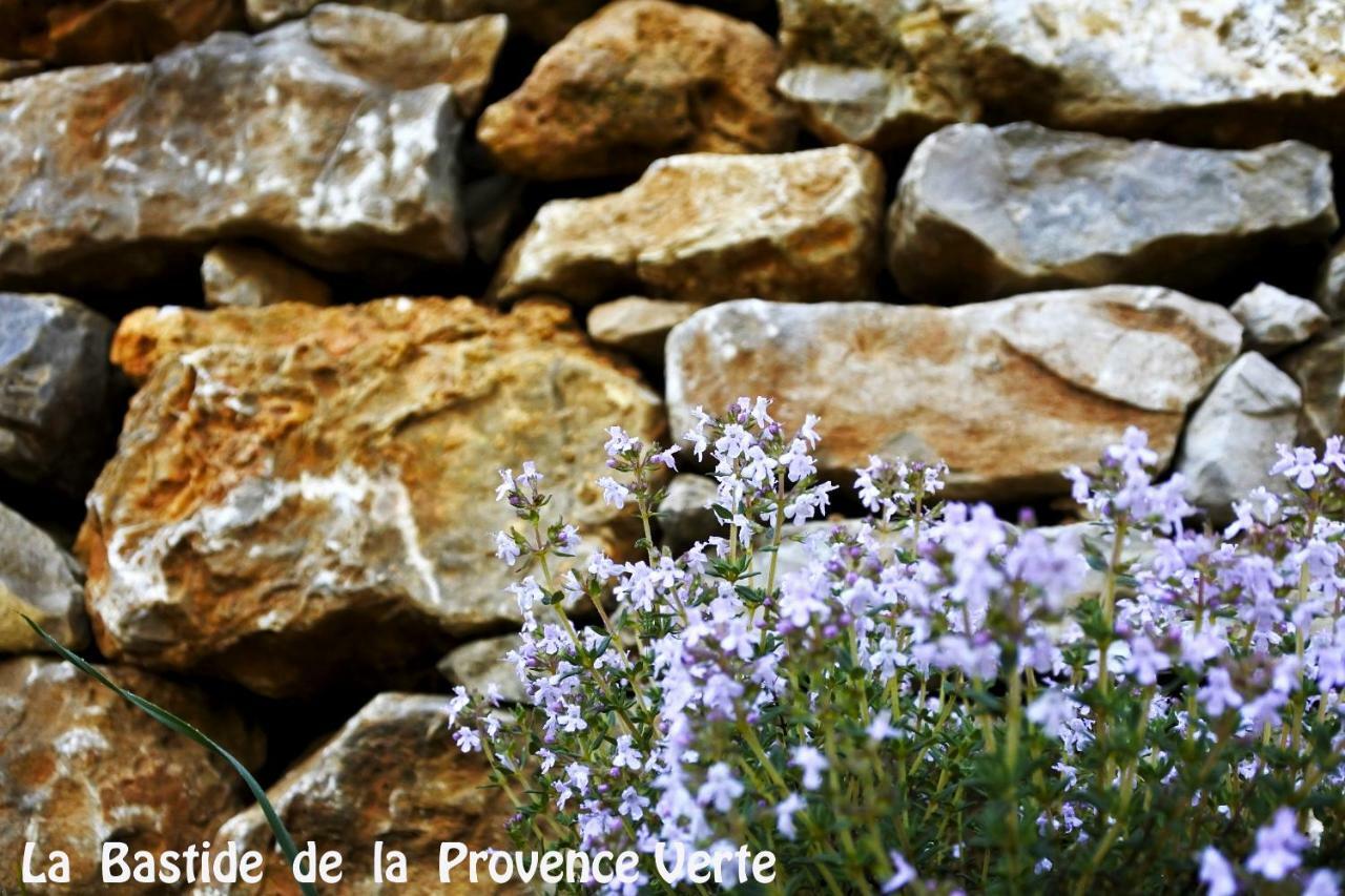 La Bastide De La Provence Verte, Chambres D'Hotes La Roquebrussanne Exterior foto