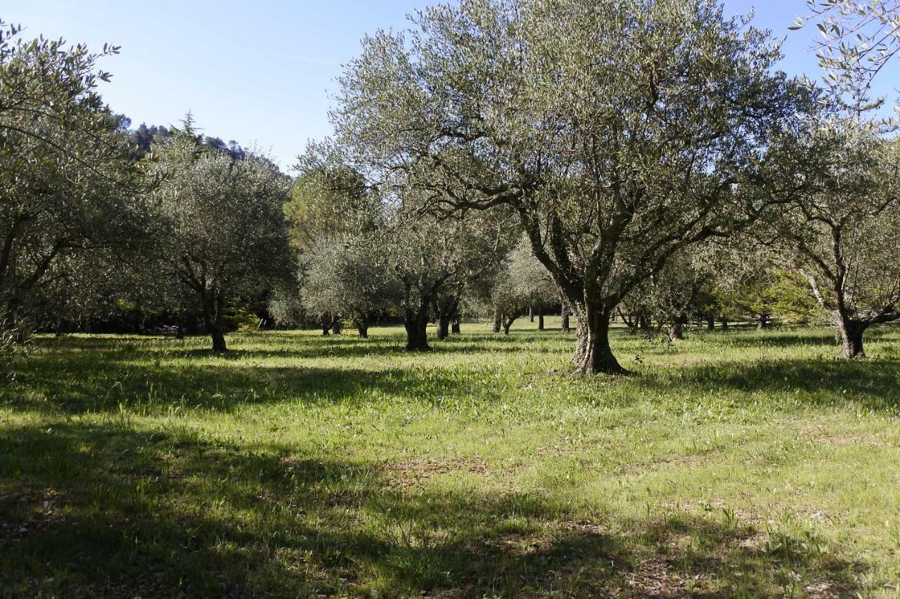 La Bastide De La Provence Verte, Chambres D'Hotes La Roquebrussanne Exterior foto